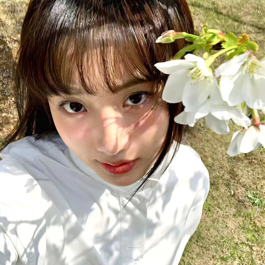 山羊